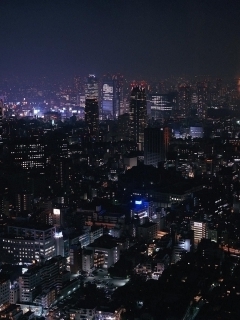 00107_tokyoatnight.jpg